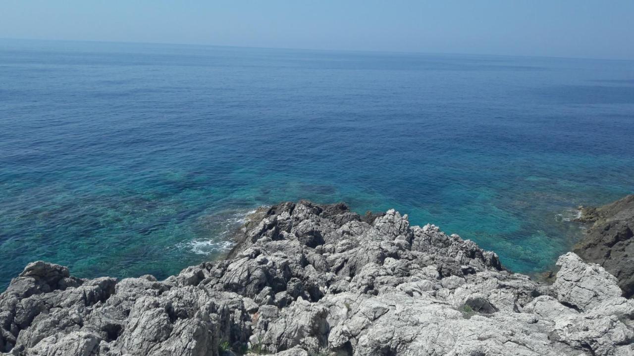 Apartments Rotim, Mljet, Sutmiholjska Babino Polje Εξωτερικό φωτογραφία
