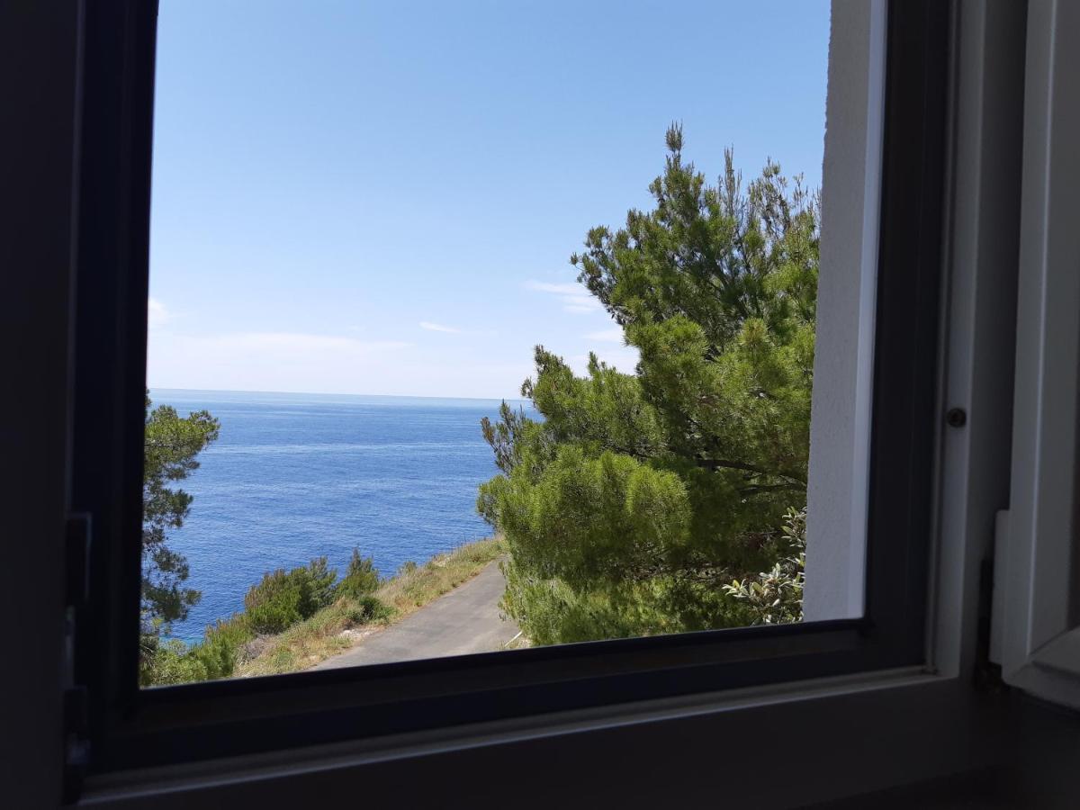 Apartments Rotim, Mljet, Sutmiholjska Babino Polje Εξωτερικό φωτογραφία