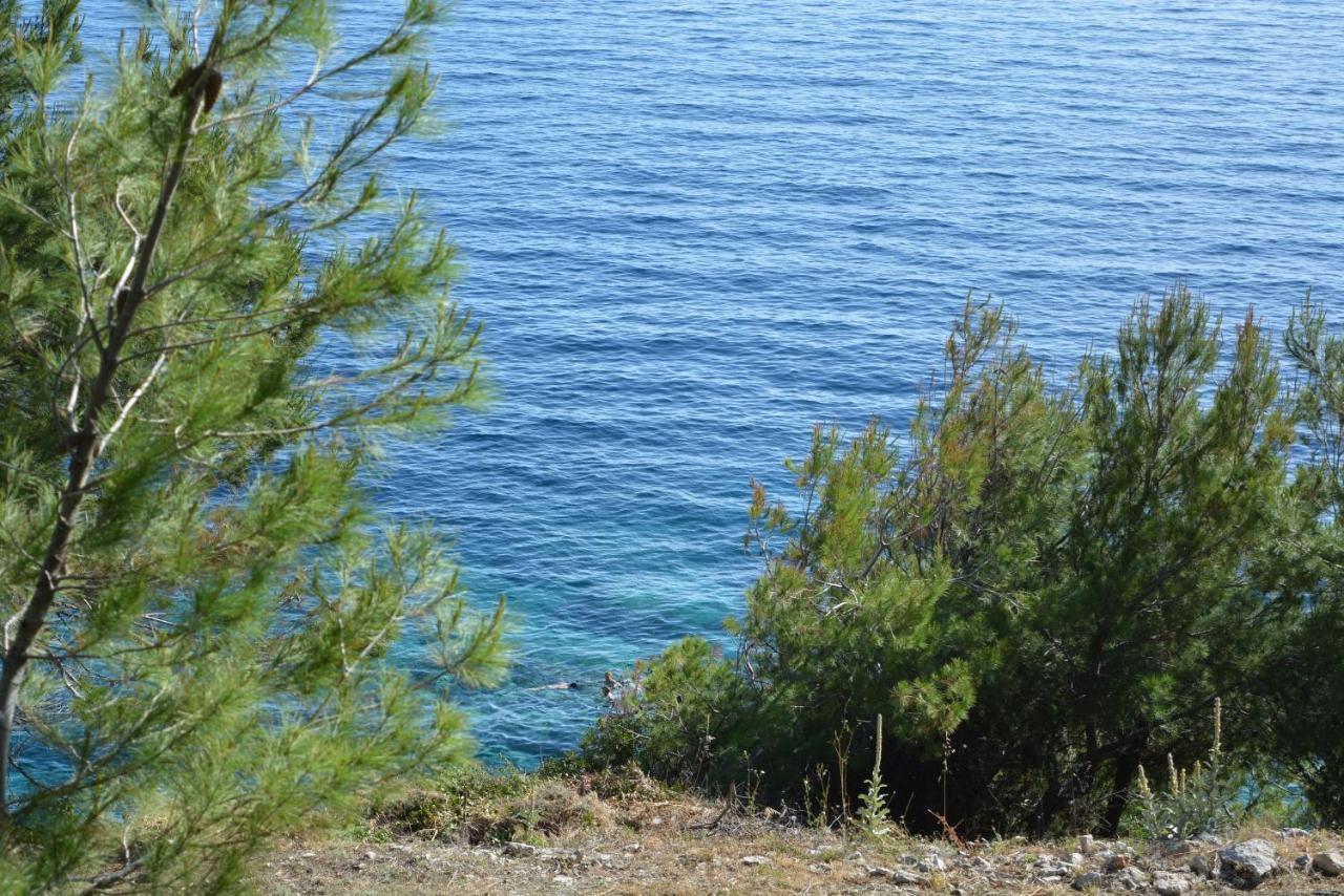 Apartments Rotim, Mljet, Sutmiholjska Babino Polje Εξωτερικό φωτογραφία